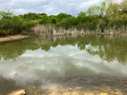 Land for sale in Eastland County, Texas