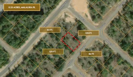 Undeveloped Land in Washington County, Florida