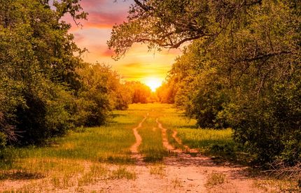 Land for sale in Victoria County, Texas