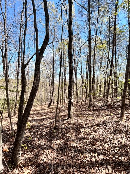 Commercial Property for sale in Greenville County, South Carolina