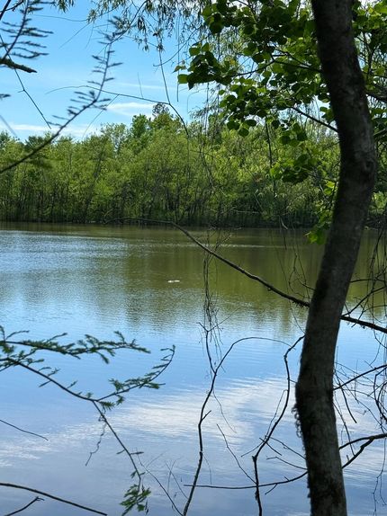 Recreational Property for sale in Lawrence County, Mississippi