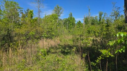 Recreational Property for sale in Walthall County, Mississippi