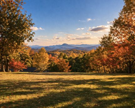Undeveloped Land for sale in Habersham County, Georgia