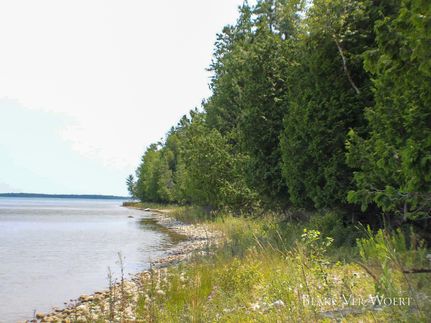 Land for sale in Mackinac County, Michigan