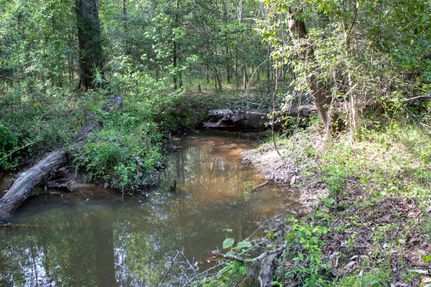 Land for sale in Choctaw County, Alabama