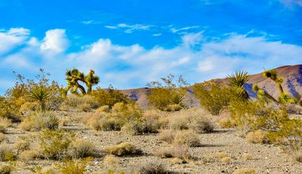Homesite for sale in Mohave County, Arizona