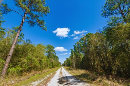 Timberland Property for sale in Putnam County, Florida