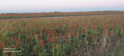 Land for sale in Haskell County, Texas