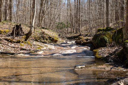 Land for sale in Preston County, West Virginia