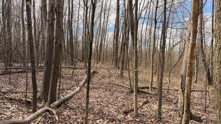 Farm and Ranch for sale in Trumbull County, Ohio