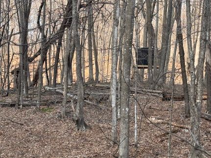 Timberland Property for sale in Polk County, Wisconsin
