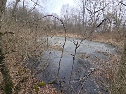 Undeveloped Land for sale in Chenango County, New York