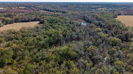 Land for sale in Geneva County, Alabama