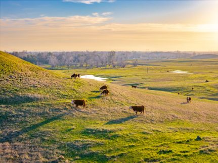 Farm and Ranch for sale in Butte County, California