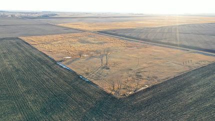 Timberland Property for sale in Emmet County, Iowa