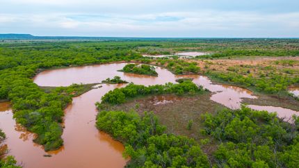 Farm and Ranch for sale in Runnels County, Texas