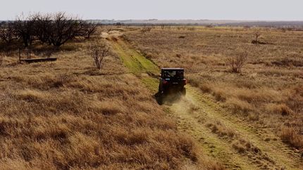 Farm and Ranch for sale in Young County, Texas
