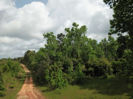 Land for sale in Newton County, Texas