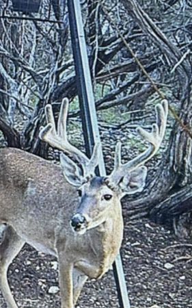 Farm and Ranch for sale in Edwards County, Texas