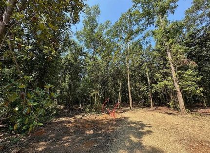 Land for sale in Baldwin County, Alabama