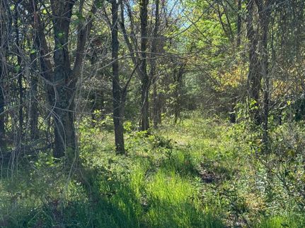 Land for sale in Caldwell Parish, Louisiana