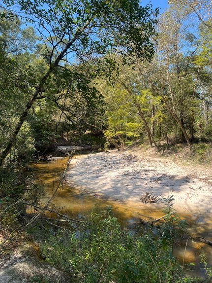 Land for sale in Newton County, Texas