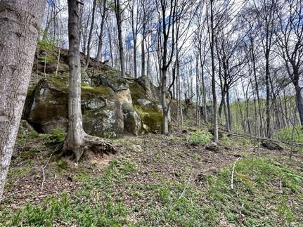 Farm and Ranch for sale in Meigs County, Ohio