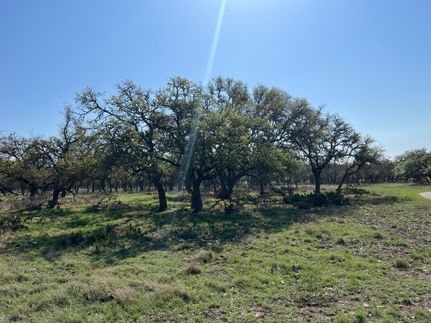 Farm and Ranch for sale in Gillespie County, Texas
