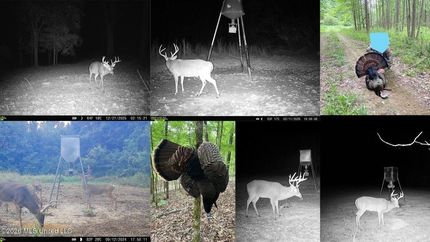 Recreational Property for sale in Jefferson County, Mississippi