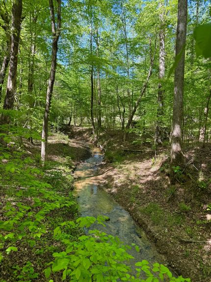 Farm and Ranch for sale in Choctaw County, Mississippi