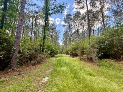 Recreational Property for sale in Pike County, Mississippi