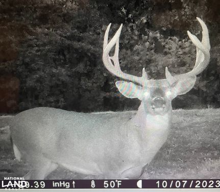 Undeveloped Land for sale in Pike County, Missouri