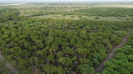 Recreational Property for sale in Live Oak County, Texas