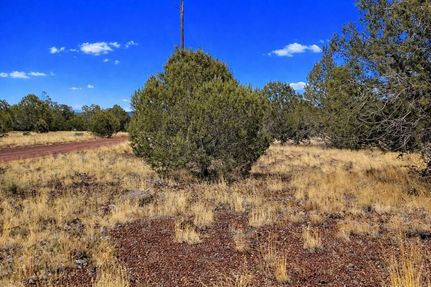 Timberland Property for sale in Coconino County, Arizona