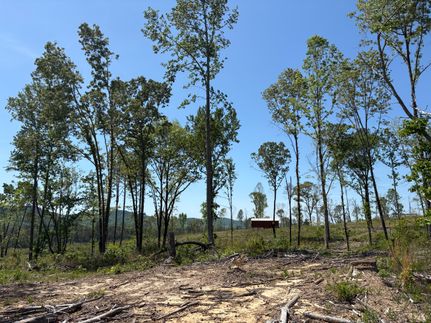 Farm and Ranch for sale in Cherokee County, Alabama