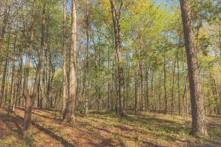Recreational Property for sale in Rhea County, Tennessee