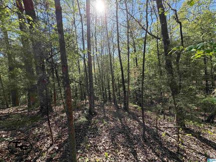 Recreational Property for sale in Bibb County, Alabama