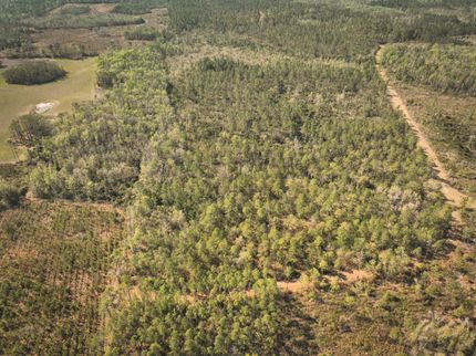 Land for sale in Madison County, Florida