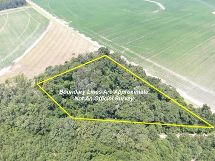 Land for sale in Madison County, Florida