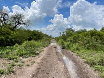 Timberland Property for sale in Duval County, Texas
