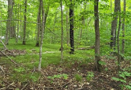 Recreational Property for sale in Otter Tail County, Minnesota