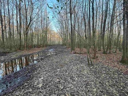 Farm and Ranch for sale in Hardeman County, Tennessee