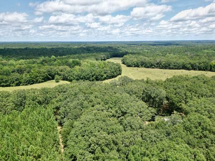 Timberland Property in Stewart County, Georgia