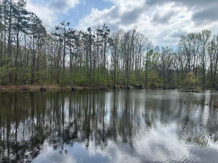 Timberland Property for sale in Holmes County, Mississippi