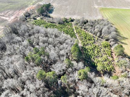 Farm and Ranch for sale in Dooly County, Georgia