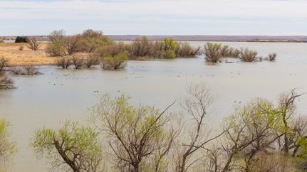 Farm and Ranch for sale in Logan County, Colorado