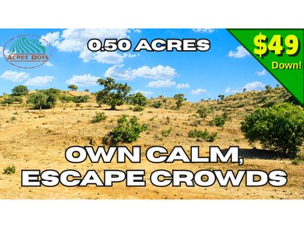 Undeveloped Land for sale in Luna County, New Mexico