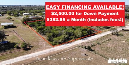 Undeveloped Land for sale in Bee County, Texas