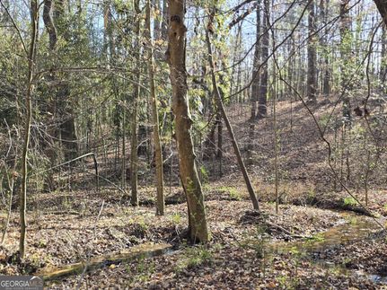 Timberland Property for sale in Madison County, Georgia