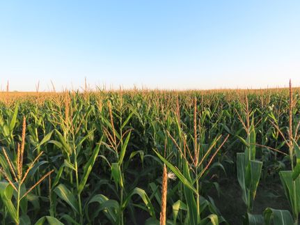 Farm and Ranch for sale in Stutsman County, North Dakota